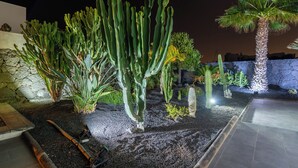 A desert garden with various cacti and a palm tree, surrounded by stone walls and a paved walkway. - BLASCO by Buenavilla | luxury and comfort in an unrivalled setting (Puerto Calero)