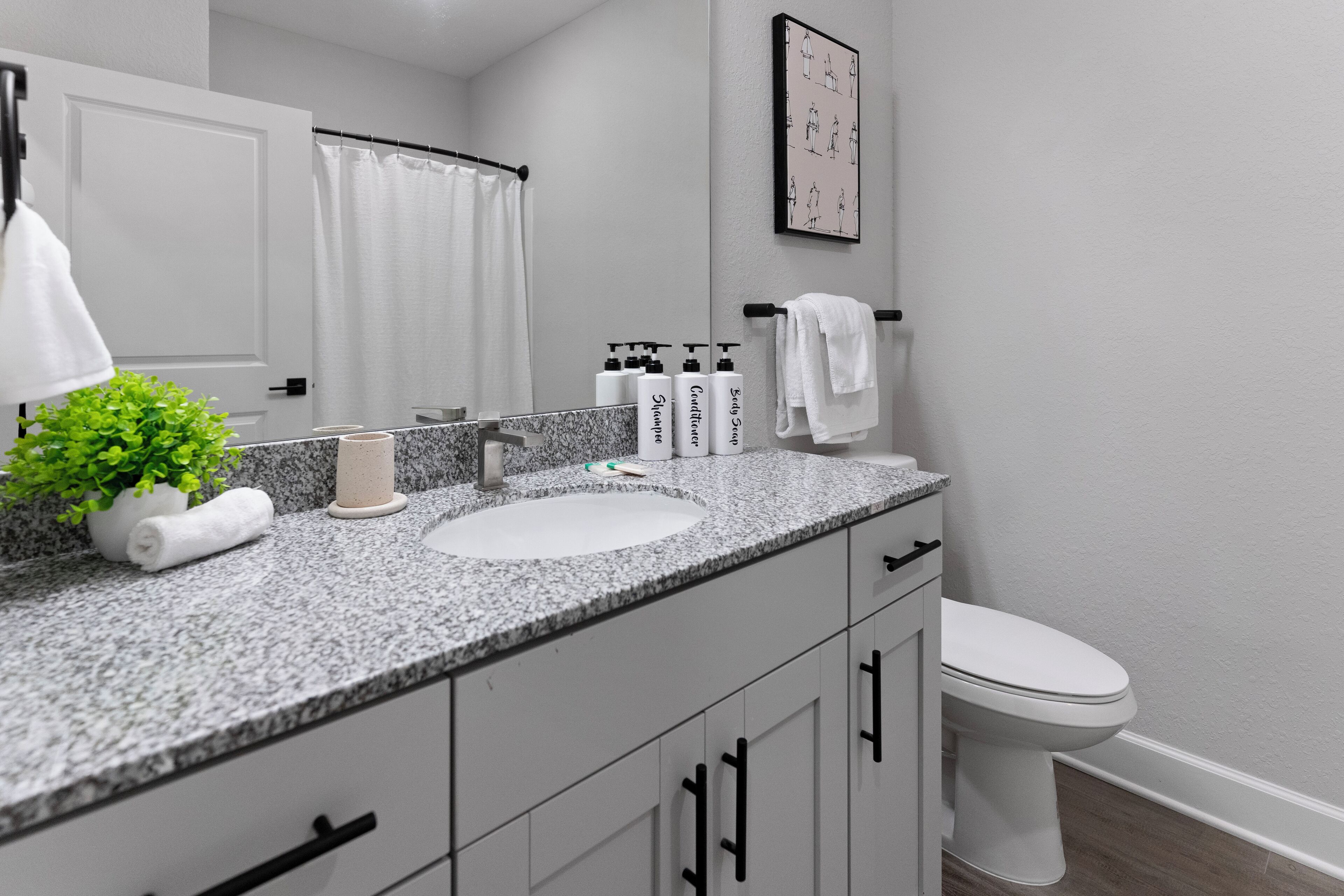 A bathroom with a white sink, a mirror, a towel rack, and a framed picture on the wall.