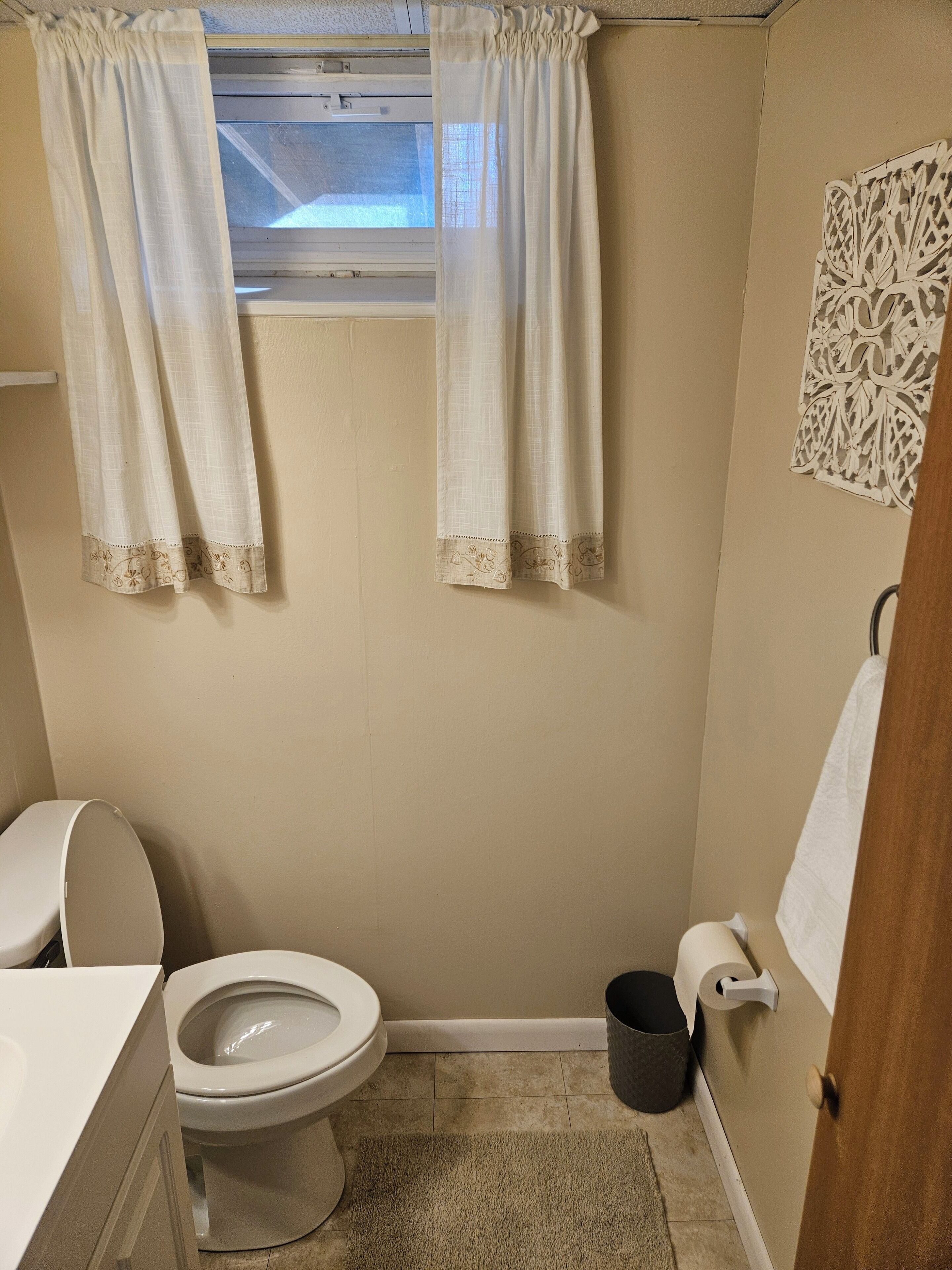 Hair dryer, towels, soap, toilet paper