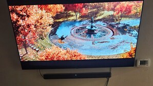 A television mounted on a wall displaying a scenic autumn landscape. Below the TV, there is a wooden console table with a potted plant.