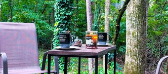 Cozy 2BR Retreat • Near Lake Lanier & Mall of GA • Private, Peaceful, Festive


