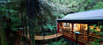 Secluded forest Retreat, Paradise Valley, Rotorua.