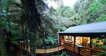 Secluded forest Retreat, Paradise Valley, Rotorua.