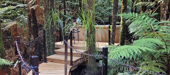 Secluded forest Retreat, Paradise Valley, Rotorua.