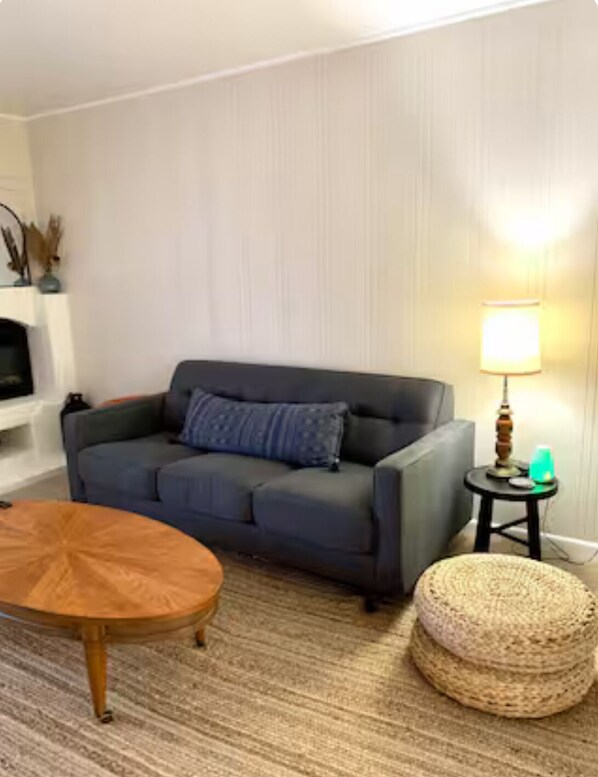 Smart TV, fireplace, books