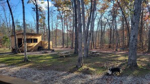 Un chalet rustique situé dans une forêt, avec des tables de pique-nique et un chien.