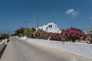 Property grounds - Superior Ground Floor 1-Bedroom Apartment with Garden View (Mikri Vigla)