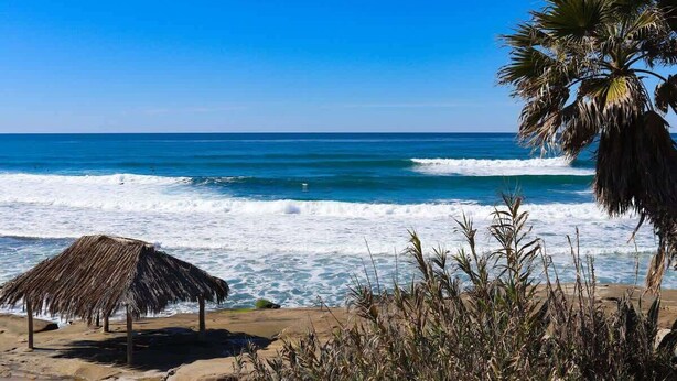 A beach with a thatched structure, palm trees, and ocean waves.