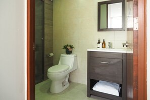 Shower, hair dryer, towels, soap