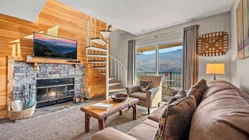 TV, fireplace