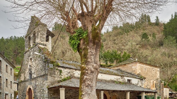 Un edificio de piedra con una torre de campanas, un porche cubierto y un árbol en primer plano.
