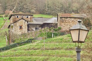 Exterior - Apartment with Shared Garden and WIFI Valle del Ibias 1 Left (Cecos)