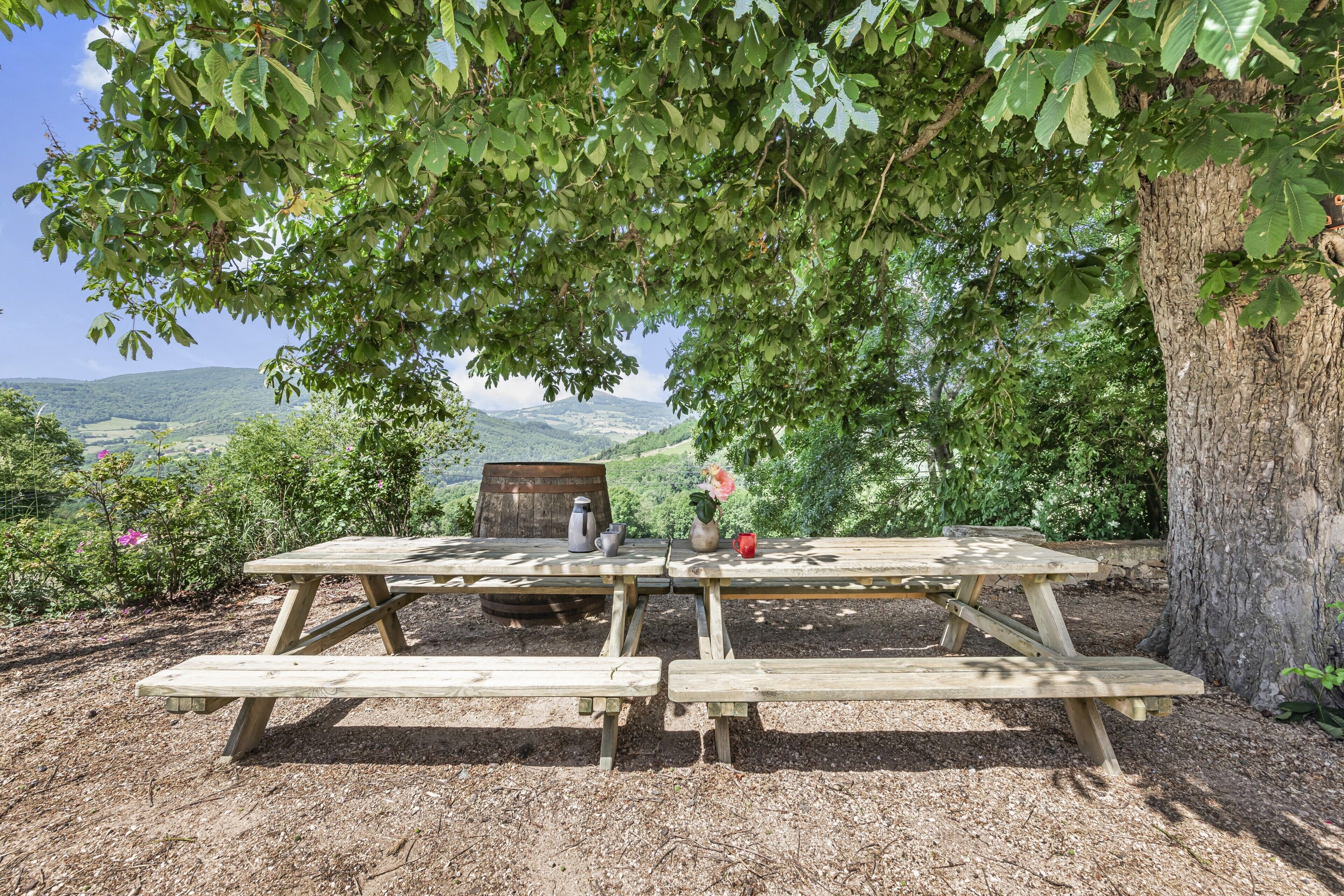 Ein Picknicktisch unter einem Baum mit Blick auf eine Hügelkulisse.