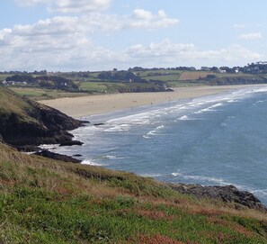 A coastal landscape with a beach, grassy cliffs, and distant houses.