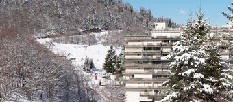 Studio Gourette 6 pers. – Mountain View, at the Foot of the Slopes, Hiking Departure, Terrace & Balcony