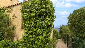 Un étroit sentier de gravier bordé d’une végétation luxuriante et un bâtiment doté d’un mur à la texture particulière.