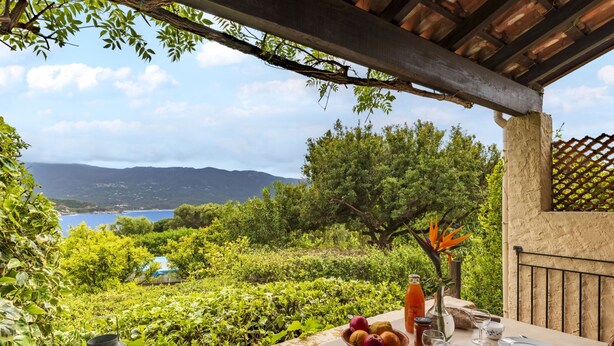 Une table dressée à l’extérieur, offrant une vue sur un paysage côtier, avec des arbres et une étendue d’eau visible au loin.