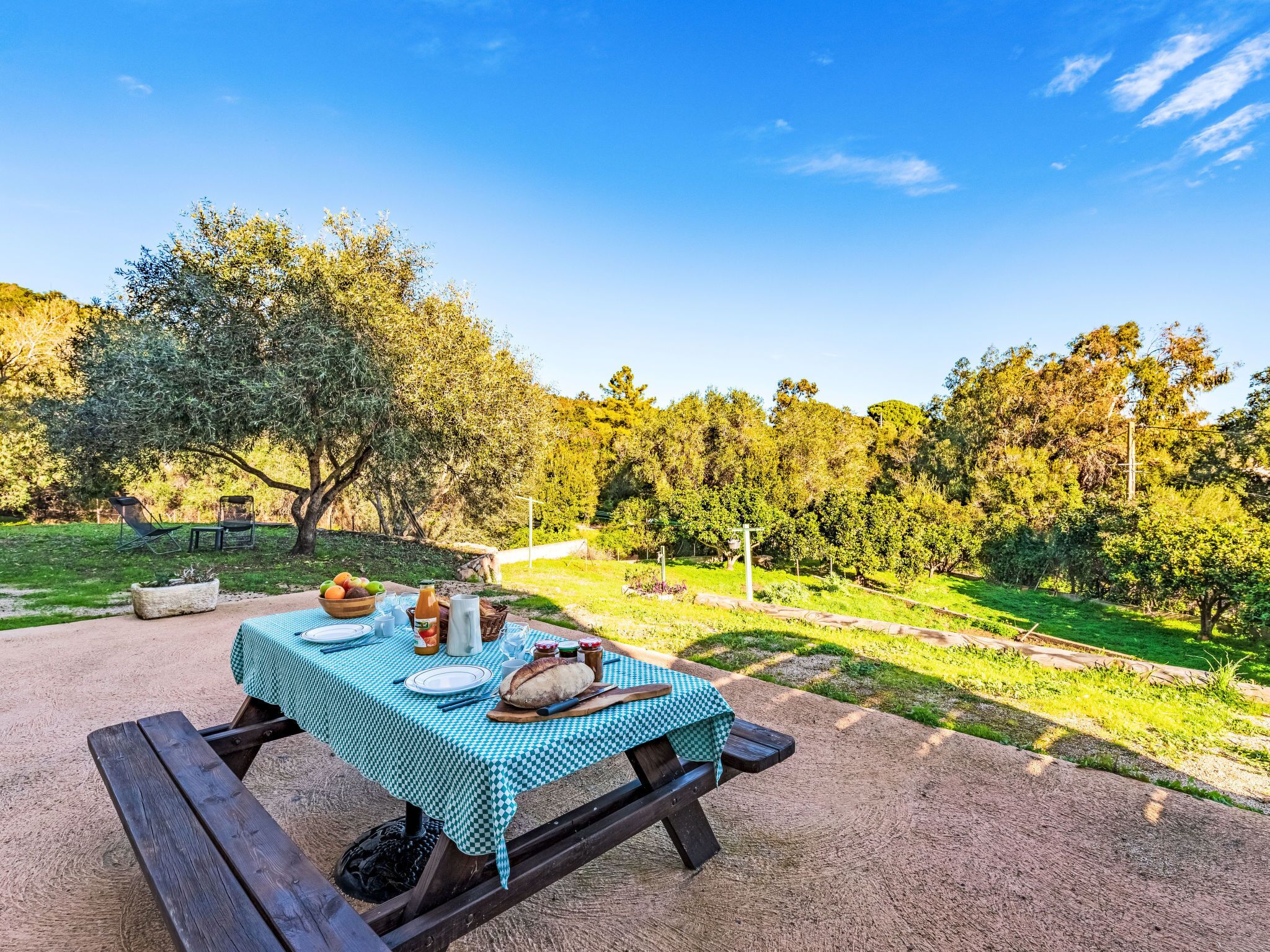 A picnic table set outdoors with a checkered tablecloth, surrounded by greenery and trees.