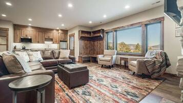 电视、壁炉、电子游戏、DVD 播放器