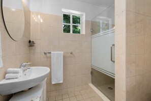 Shower, hair dryer, towels