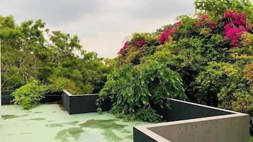 Rooftop terrace