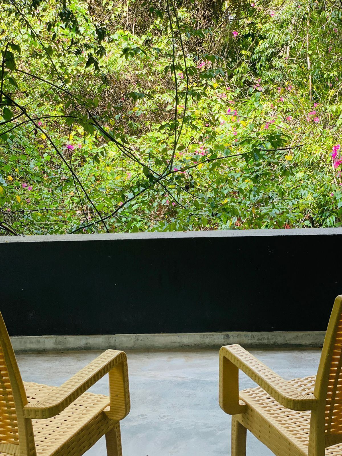 Dos sillones de mimbre orientados hacia un jardín frondoso con abundante follaje y flores rosadas.