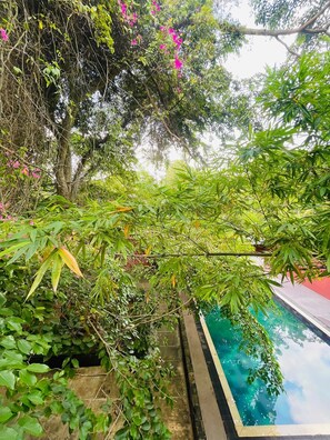 Outdoor pool, open 9:00 AM to 6:00 PM, pool loungers - Villa Tambaka Retreat (Anuradhapura)