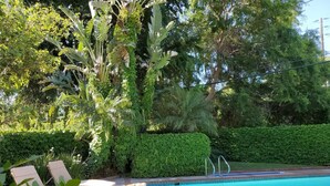 Ein Schwimmbecken mit Liegestühlen und einer Hecke.