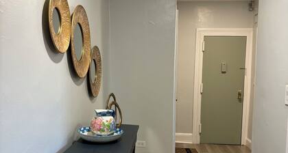 A charming comfy apartment with bright lights and lots of sunlight.