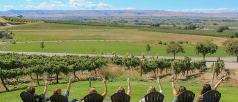 Overnatningsstedets område