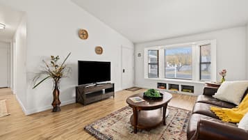 Älytelevisio, kirjoja