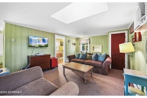 TV, DVD player, video library