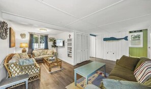 TV, DVD player, video library