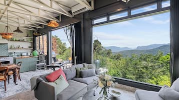 Smart TV, chimenea y libros