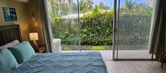 Yonegan Plumeria Hilo Hotel - Nai'a (Dolphin)