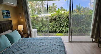 Yonegan Plumeria Hilo Hotel - Nai'a (Dolphin)