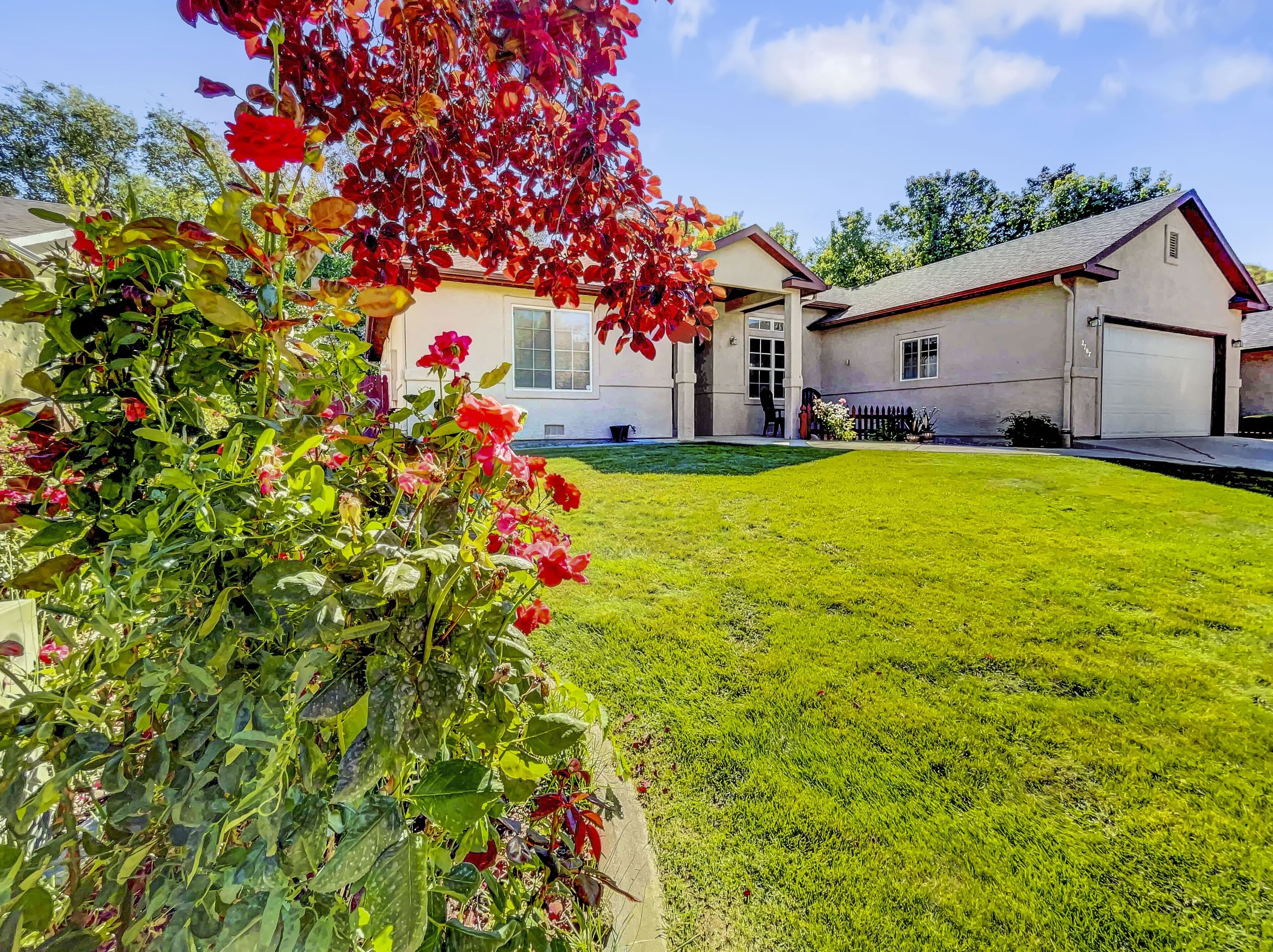 House, 4 Bedrooms | Property grounds