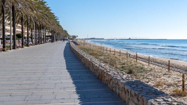 Un camí empedrat flanquejat per palmeres que condueix a una platja amb un mur de pedra i una tanca de fusta.