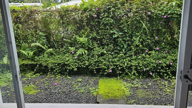 A lush garden with dense foliage and small pink flowers, a stone pathway, and a metal fence.