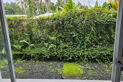 Yonegan Plumeria Hilo Hotel - Ilio Kai (Monk Seal)