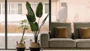 A living room with a sofa and two potted plants. - BOHOLAND (Zhushan)