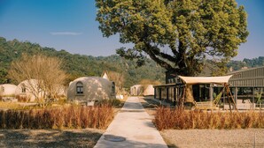 A pathway leading to a building with a large tree and a swing set. - BOHOLAND (Zhushan)
