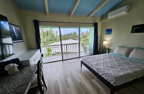 Yonegan Plumeria Hilo Hotel - Mano (Shark) #9