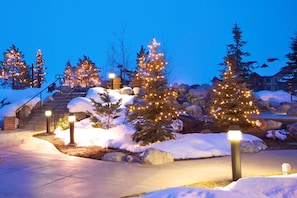 Un espacio exterior cubierto de nieve con árboles de Navidad iluminados y una escalera de piedra.