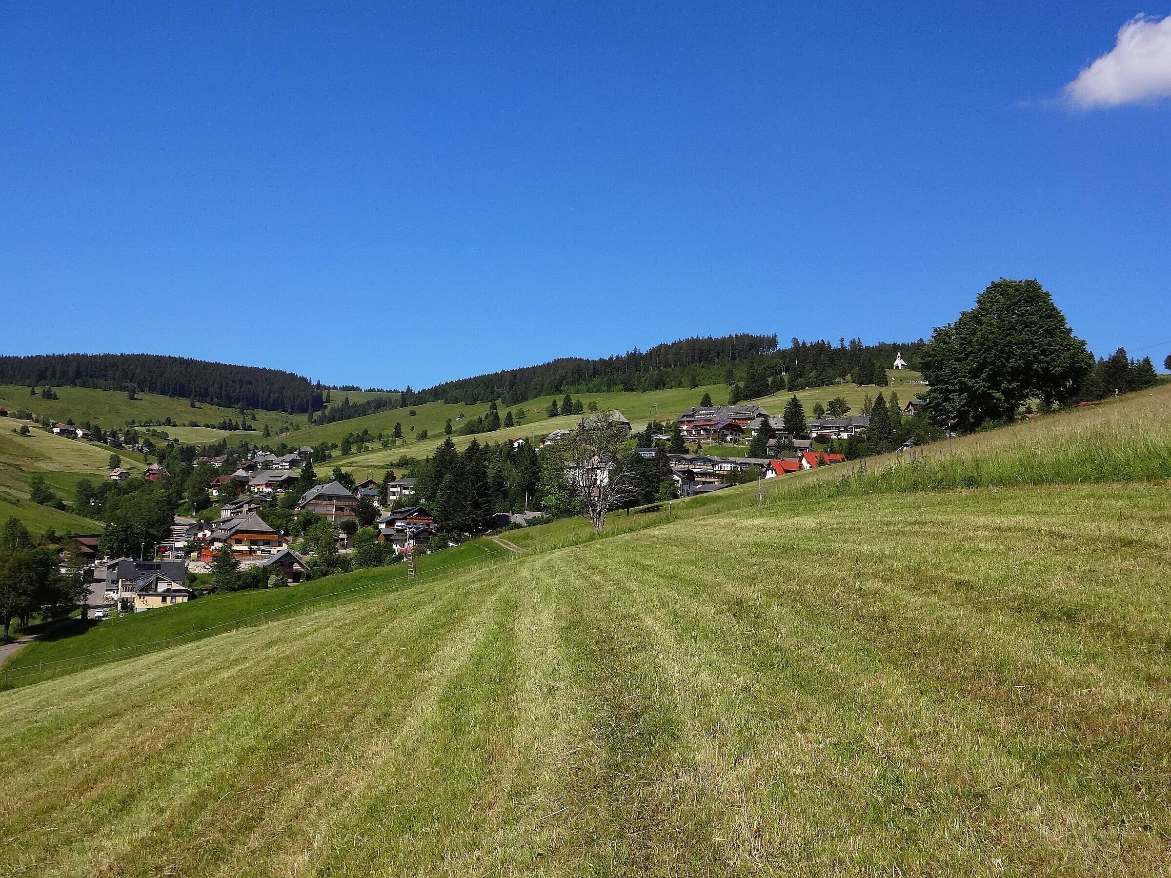 A rural village with houses on a hillside, a clear blue sky, and a large tree in the foreground.