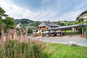Exterior - Apartment 'Abendsonne' with Mountain View, Shared Terrace and Wi-Fi (Todtnau)