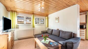 Fernseher, Stereoanlage