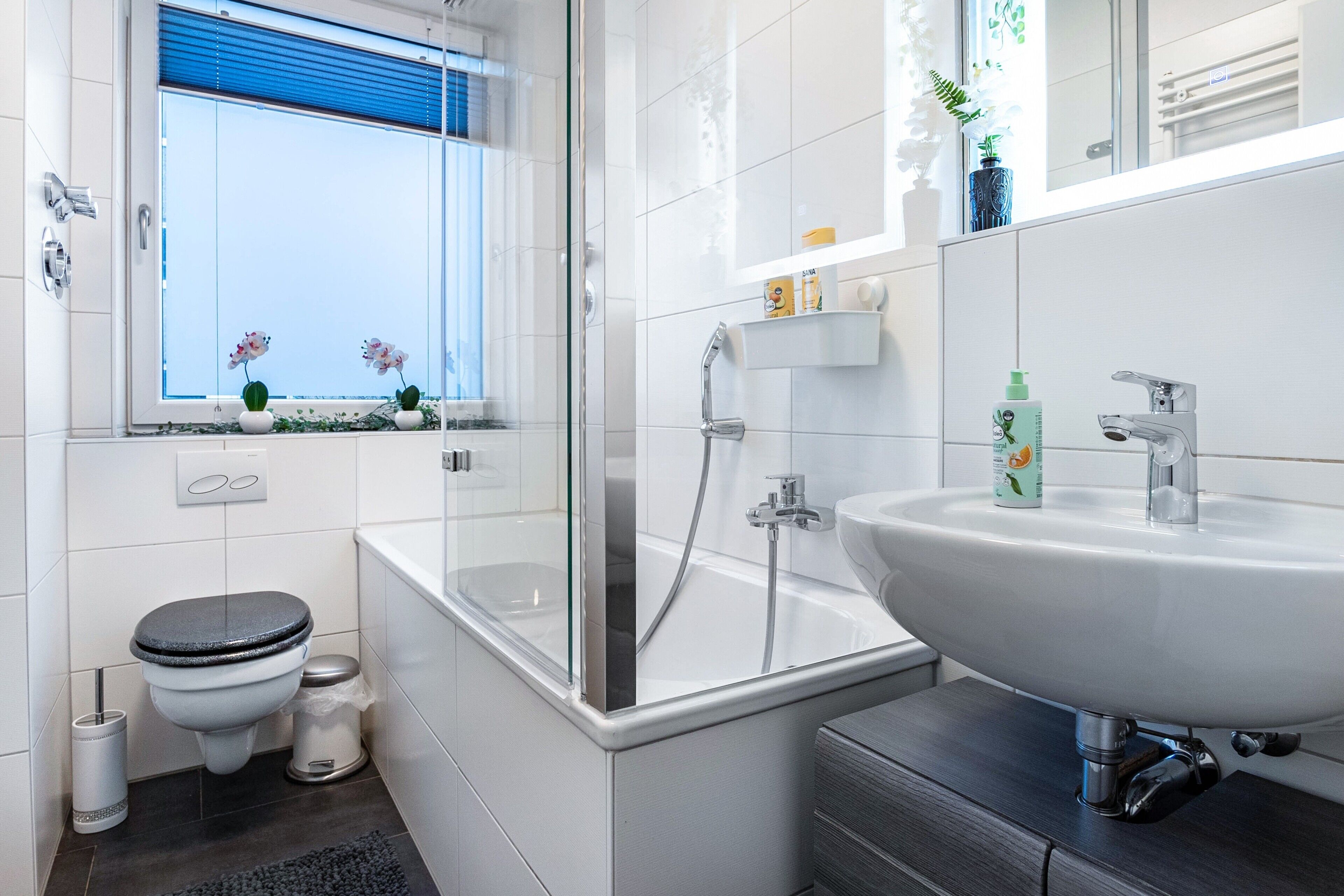 Dusche, Haartrockner, Handtücher
