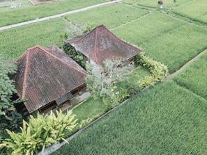 Exterior - Umadesa Ubud (Ubud)