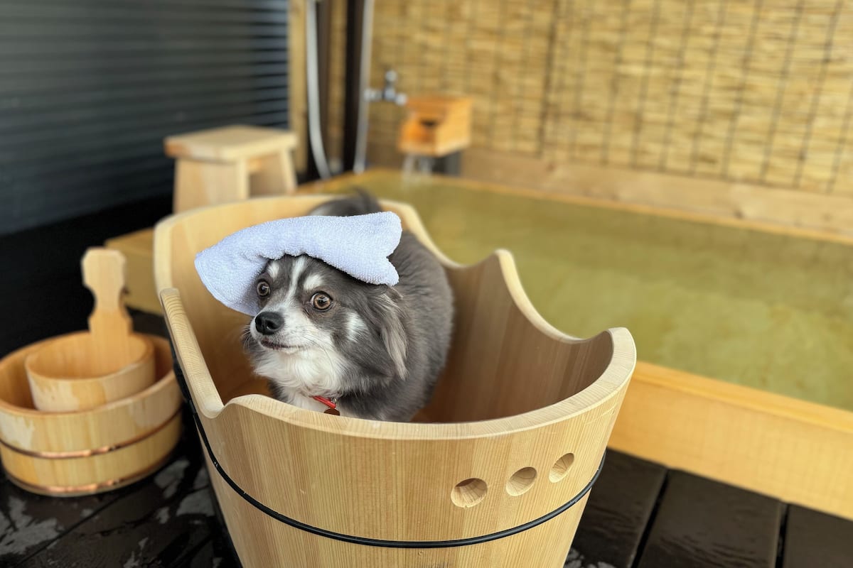 Hiên